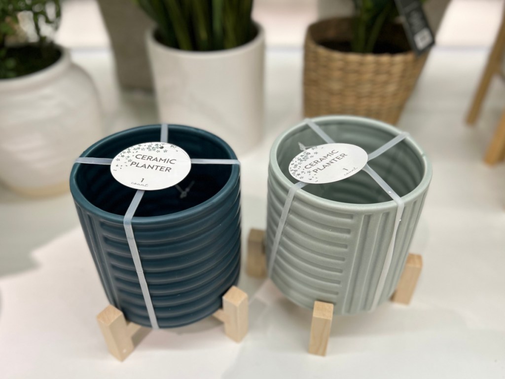 two small ceramic plants in store