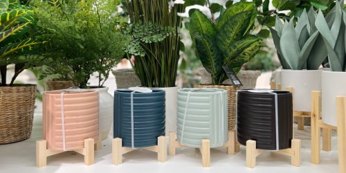 Modern Ceramic Planters Only $5 in Bullseye’s Playground at Target