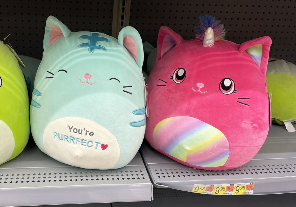 cat and unicorn valentine squishmallows