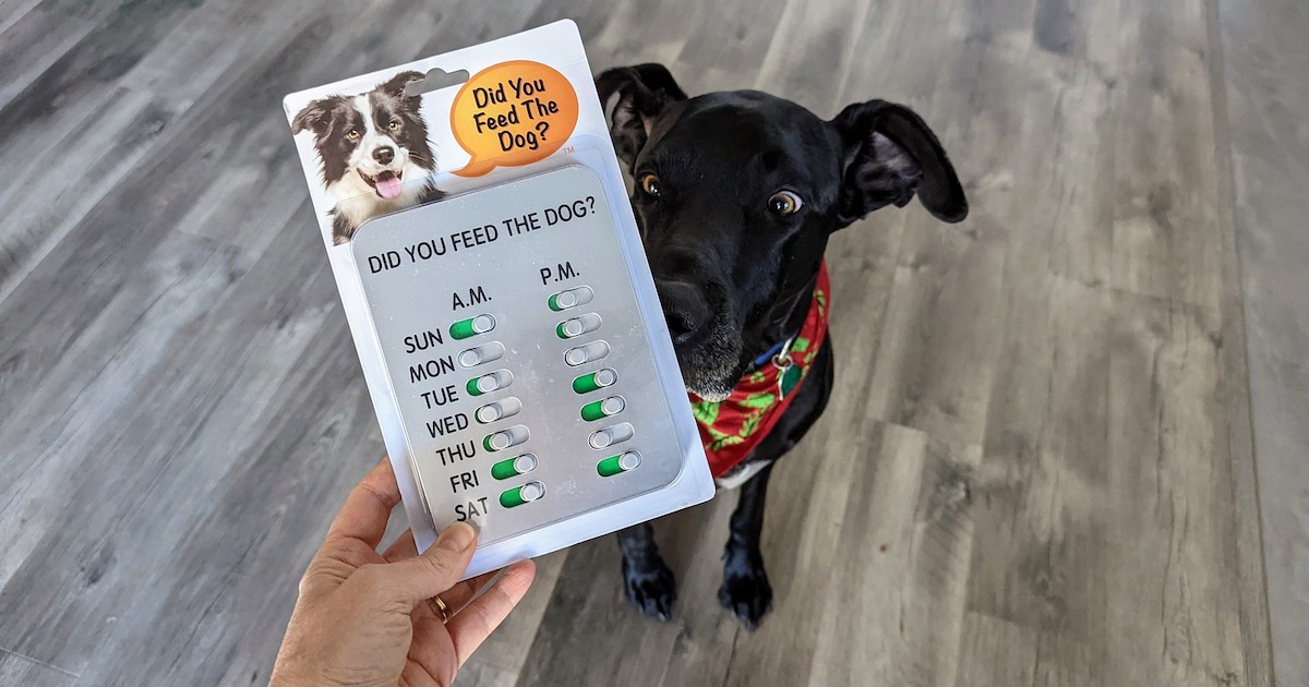 dog feeding tracker