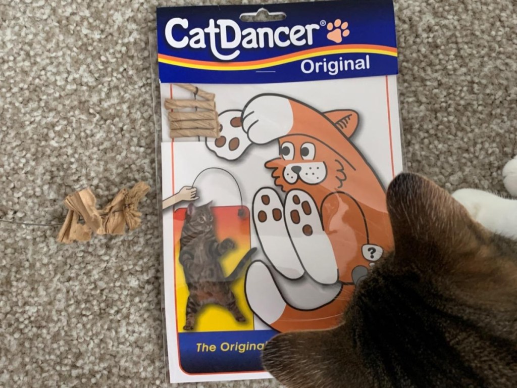 cat dancer toy in box