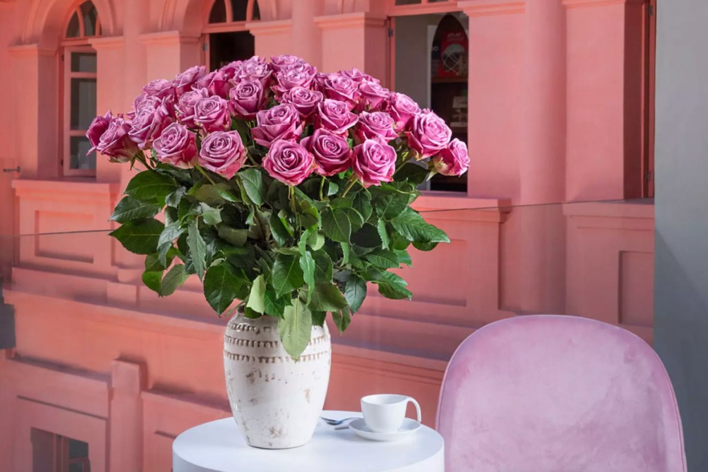 pink cupid roses in vase
