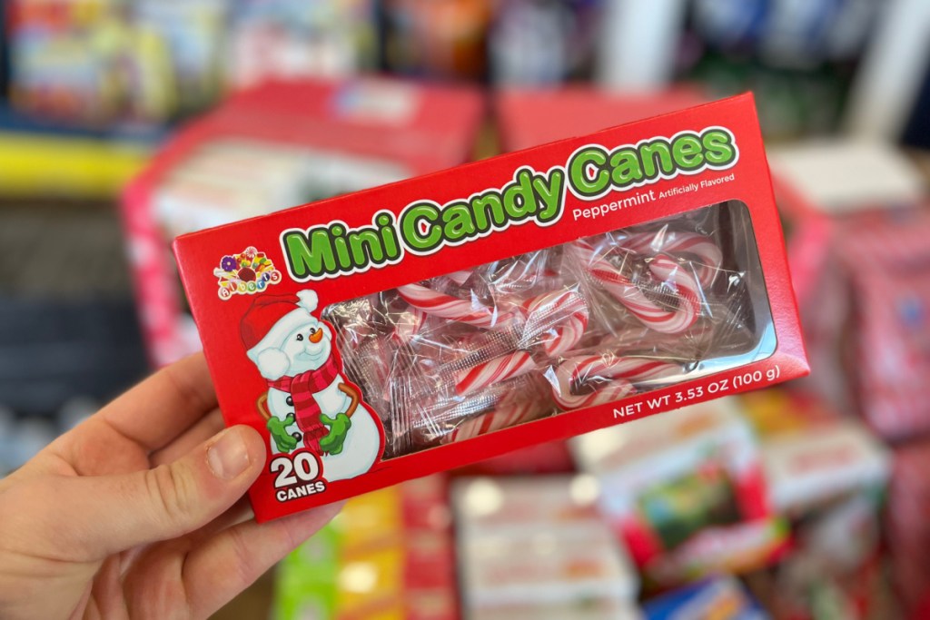 box of dollar general mini candy canes in hand