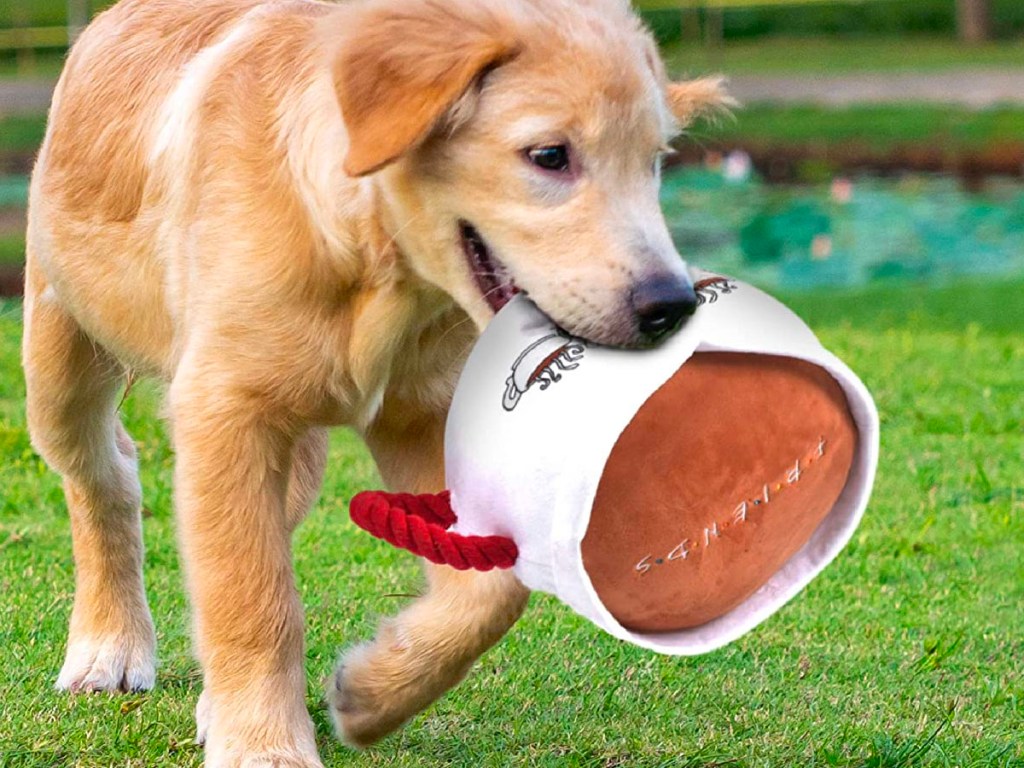 dog playing with coffee mug dog toy