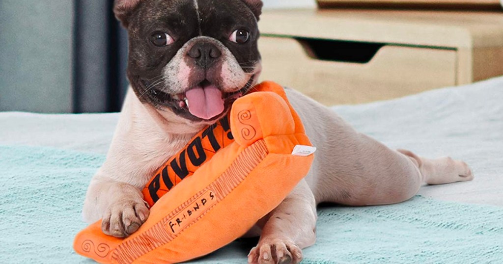 dog playing with orange pivot couch dog toy