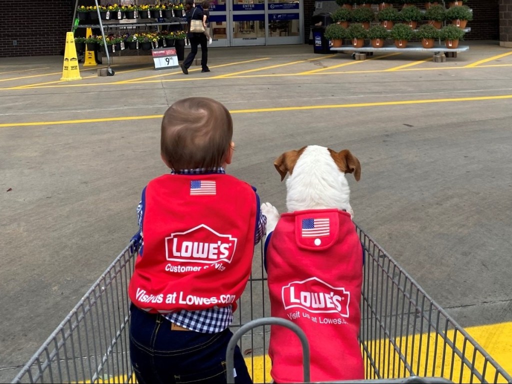backs of dog and baby wearing red Lowe's vests