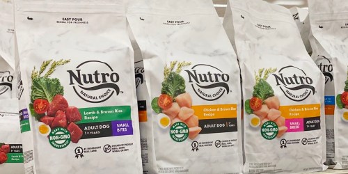Nutro Dog Food 4lb Bags from $12 Shipped on Amazon (Regularly $19)