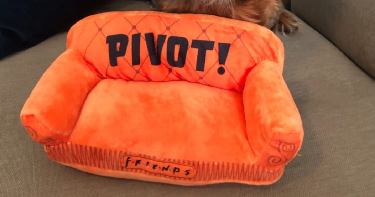 little orange plush couch that says "pivot!" on it
