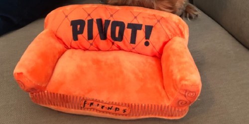 Friends “PIVOT” Couch Stuffed Dog Toy Only $8.88 on Amazon