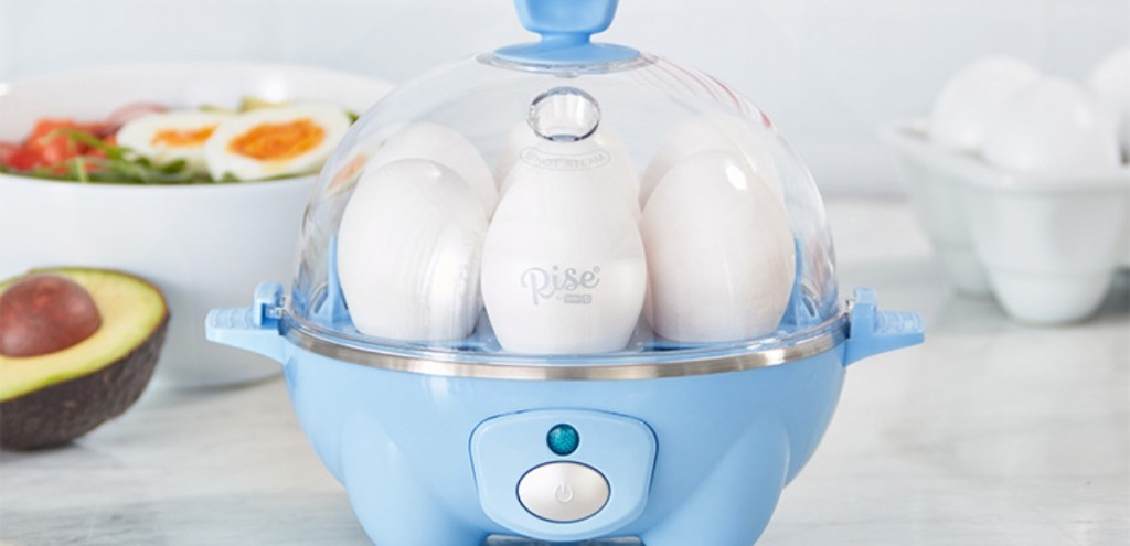 blue egg cooker