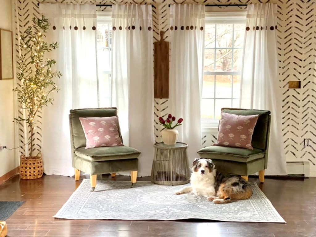living room with 2 green chairs and a dog on the floor