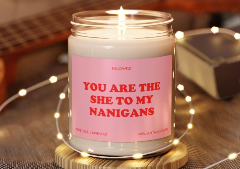 you are the she to my nanigans candle with fairy lights wrapped around it