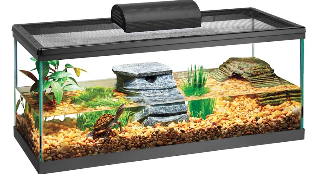 long fish tank with a turtle in it