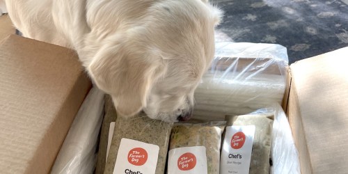 50% Off The Farmer’s Dog Fresh Dog Food + Free Shipping (Includes Free Cooler Bag)