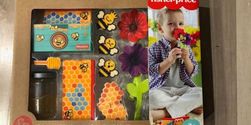 Fisher-Price Backyard Beekeeper 13-Piece Set Only $7 on Zulily.com (Regularly $15)