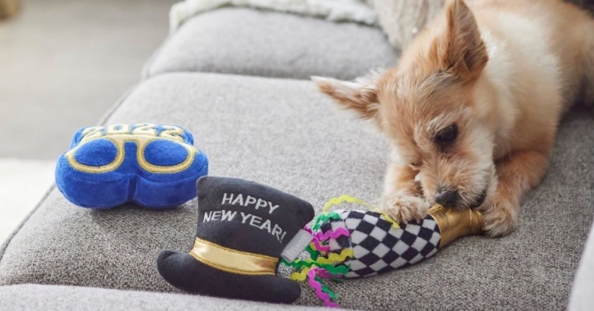 new years dog toys