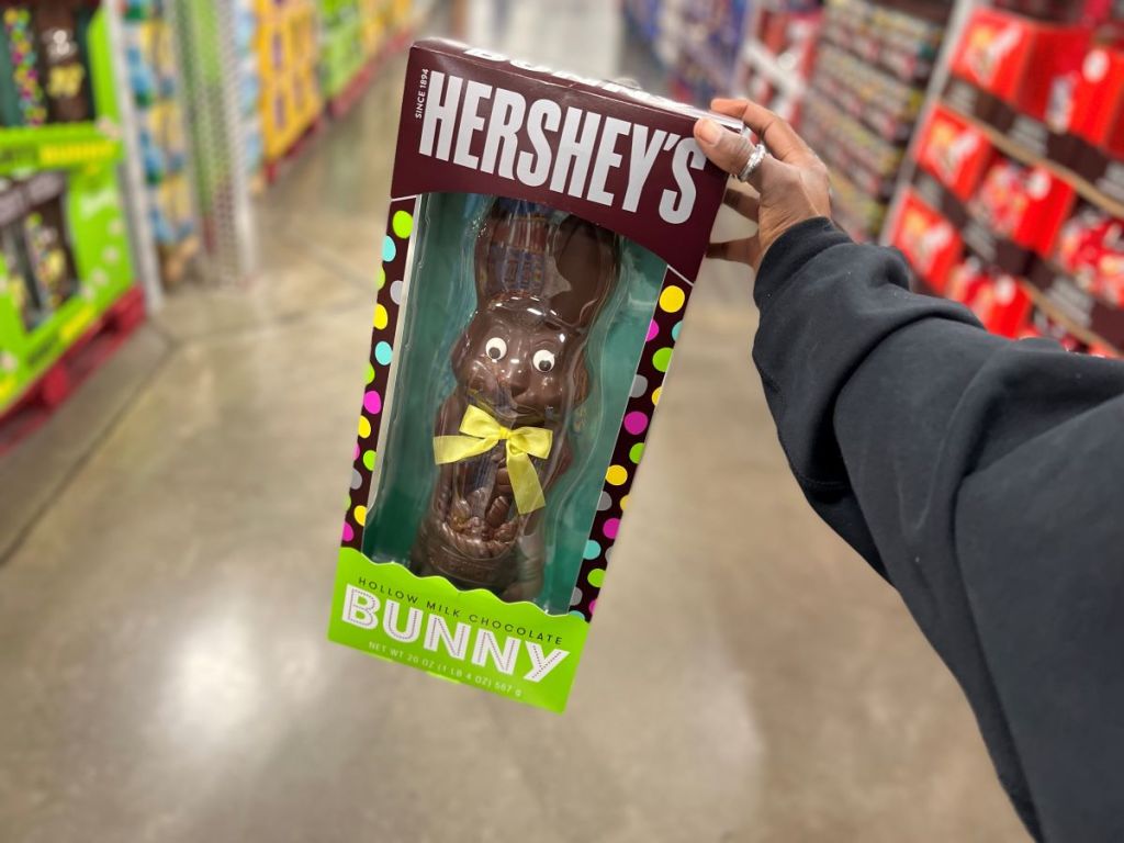 hand holding a chocolate Easter bunny