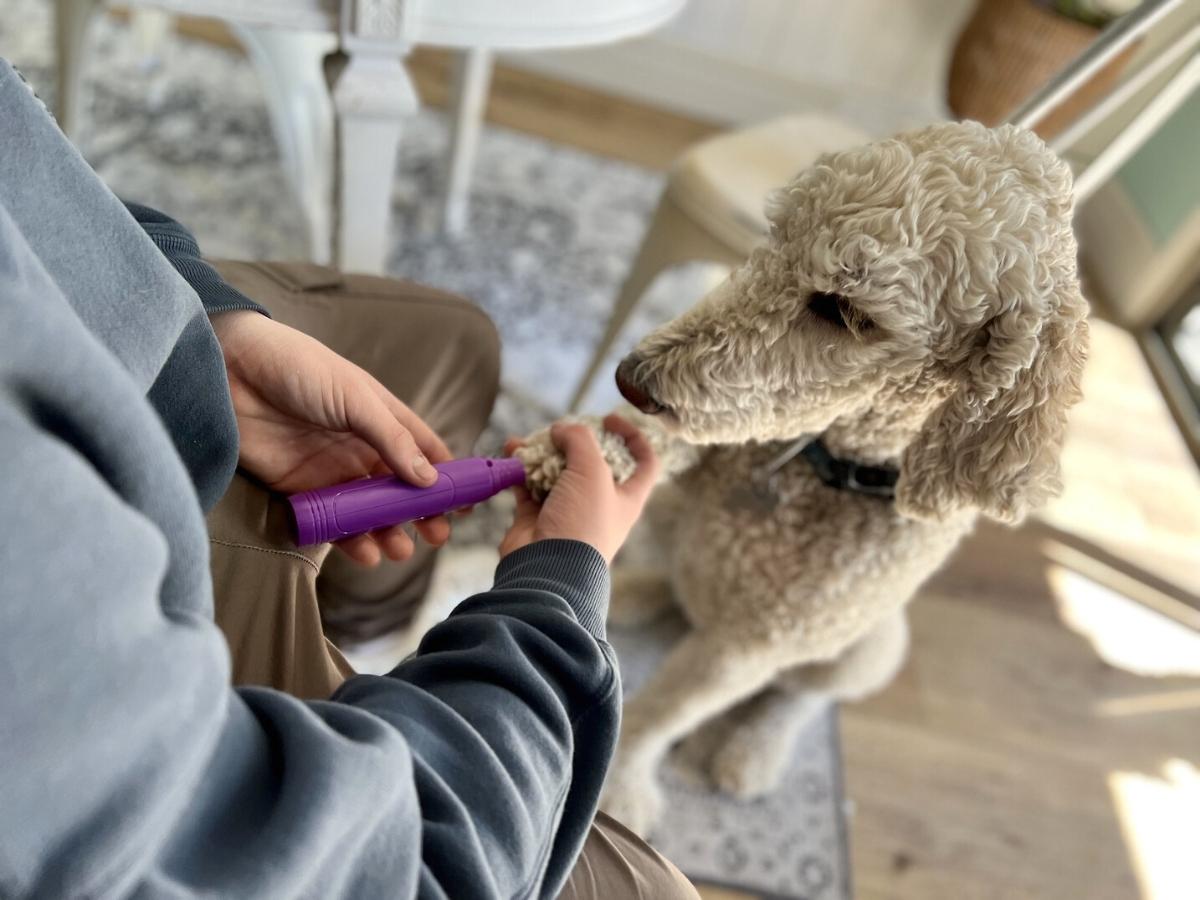 hertzko nail grinder