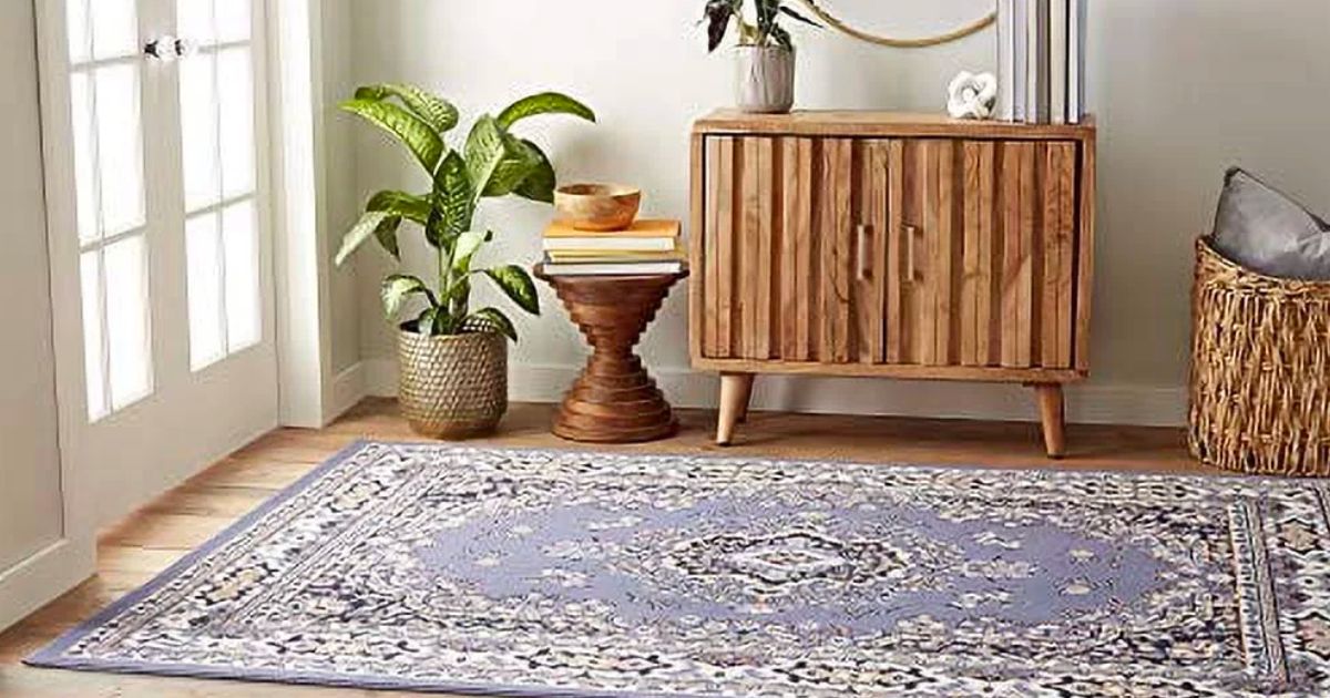 Home Dynamix 5’x7′ Indoor Area Rugs from $28 on Walmart.com