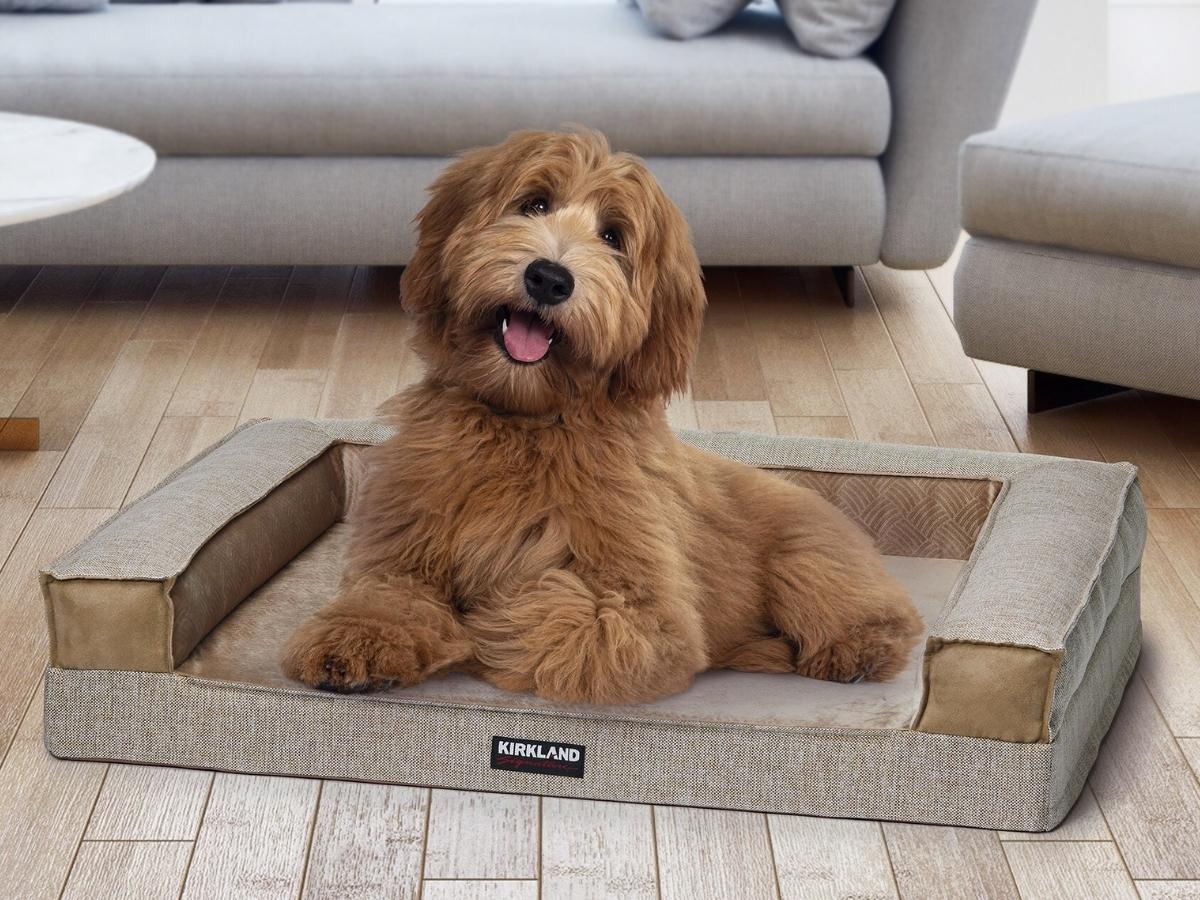 Costco kirkland dog fashion bed