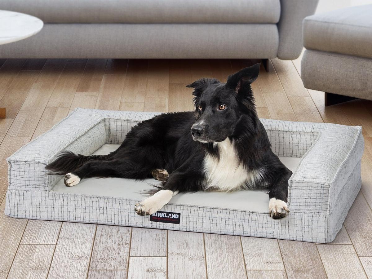 Kirkland signature best sale dog bed