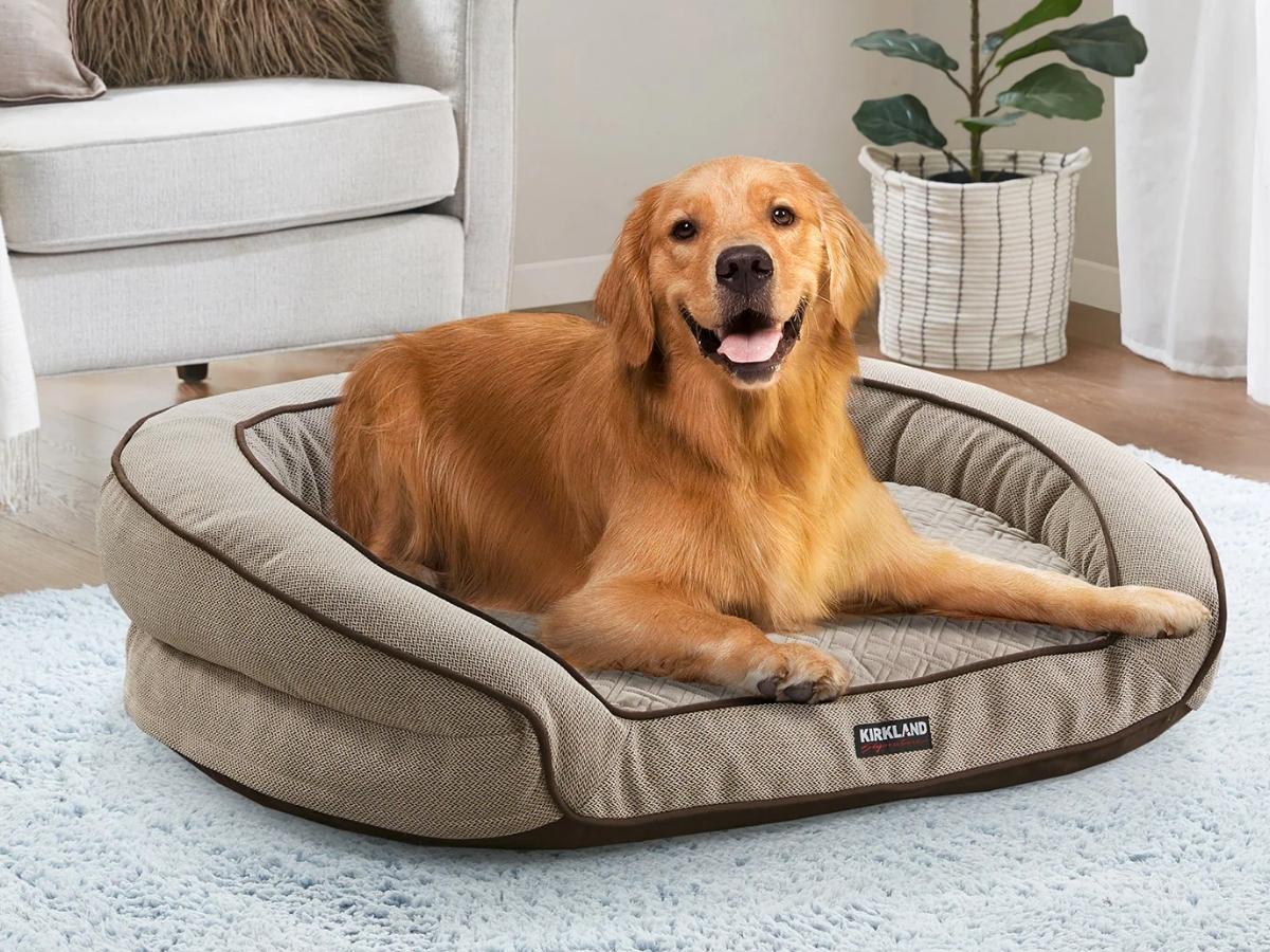 Kirkland xl outlet dog bed