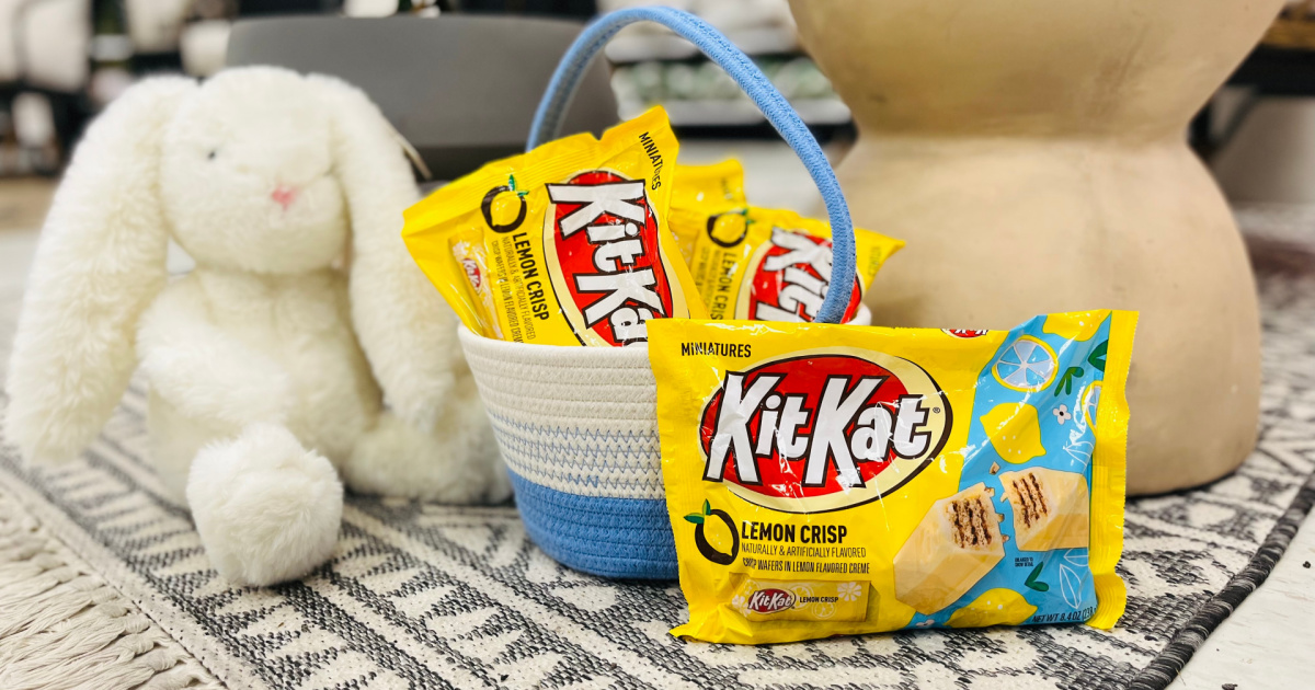 bags of lemon-flavored candy in Easter basket and Easter Bunny stuffed animal