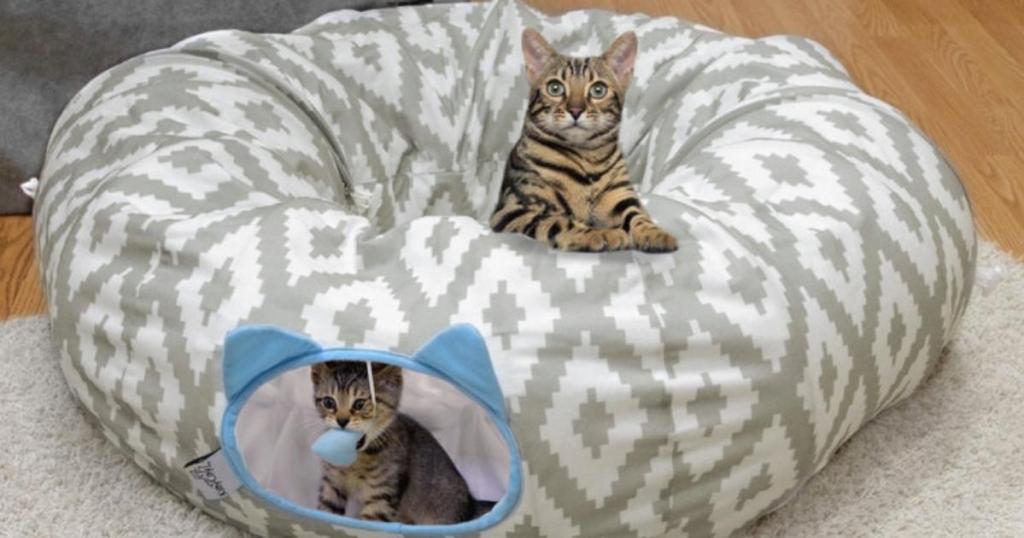 cats playing in kitty city cat tunnel bed