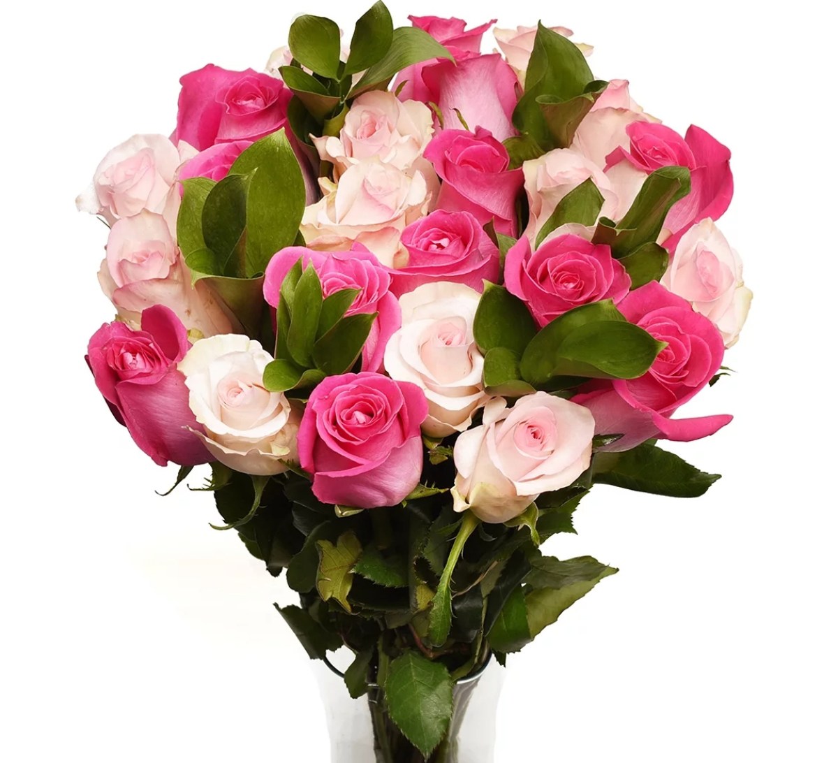 stock photo of pink roses
