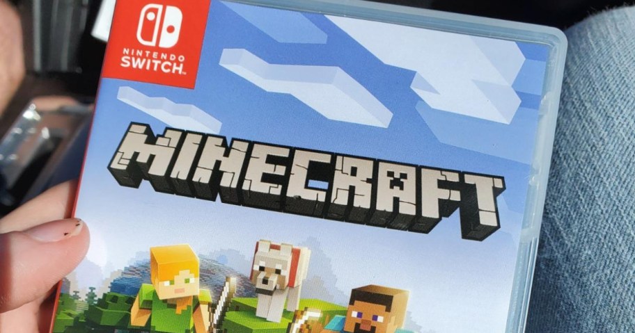 minecraft video game