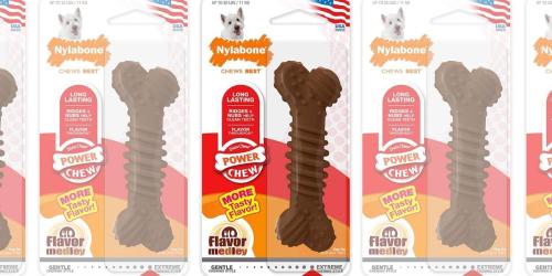 Nylabone Power Chew Textured Dog Bone Only $2.66 on Amazon (Regularly $7)