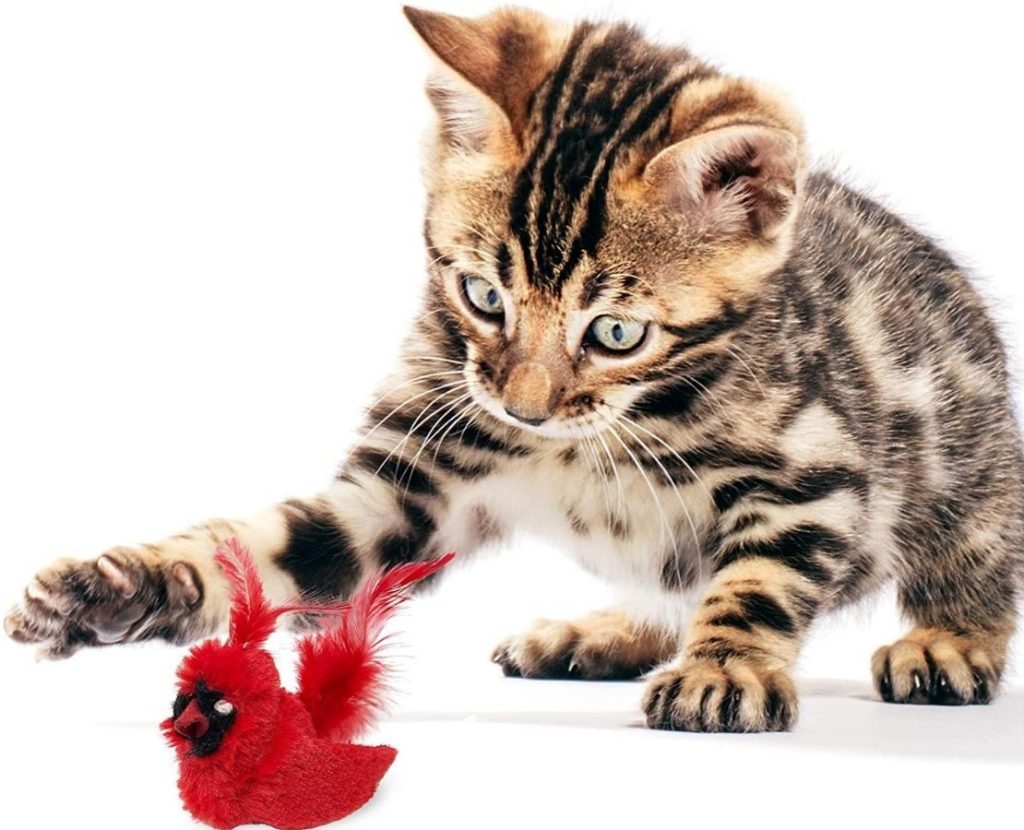 OurPets Cardinal Cat Toy