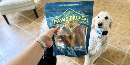 50% Off Pawstruck Dog Treats & Chews on Amazon | Rawhide 1lb. Variety Bag Just $9 Shipped!