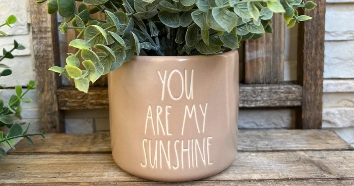 rae dunn you are my sunshine planter with greenery