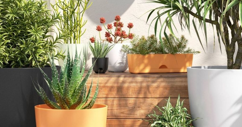 Room Essentials Planters with plants in them