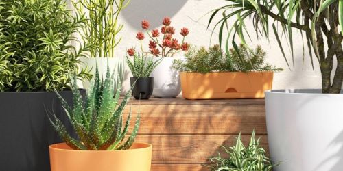 GO! Self-Watering Planters from $1.80 on Target.com | Lots of Sizes & Styles Available
