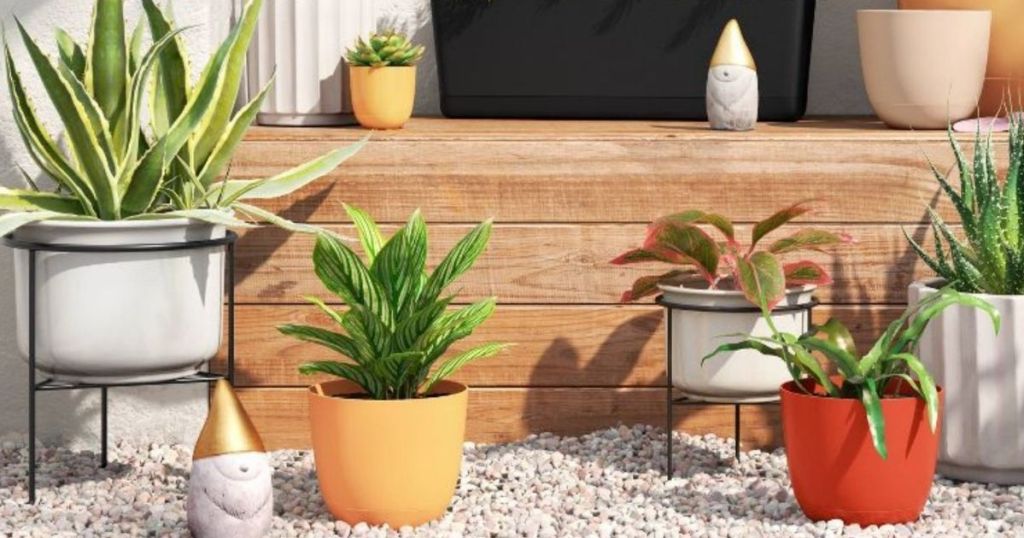 self-watering planters with plants in them