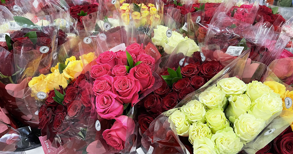 bouquets of roses at sams club