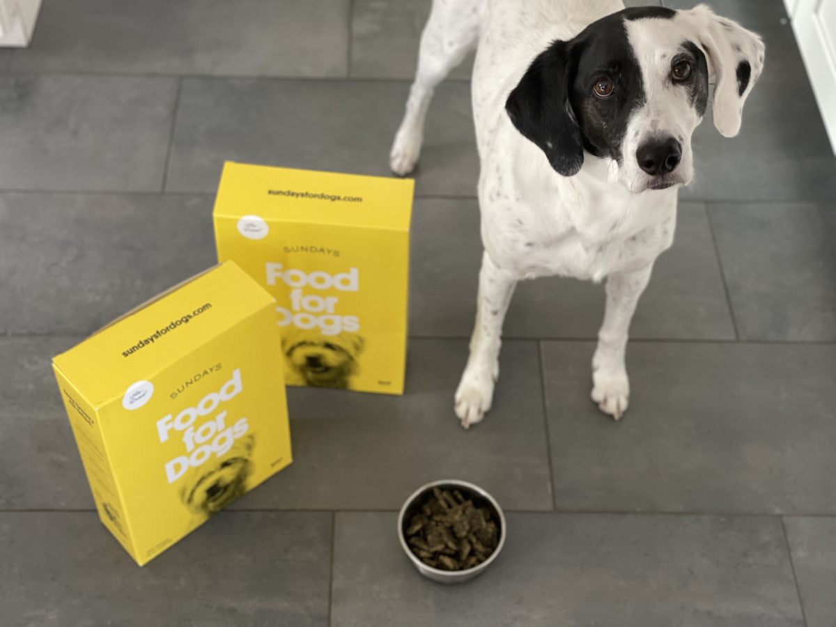 Sundays Food for Dogs is All Natural Air Dried Get 30 Off w