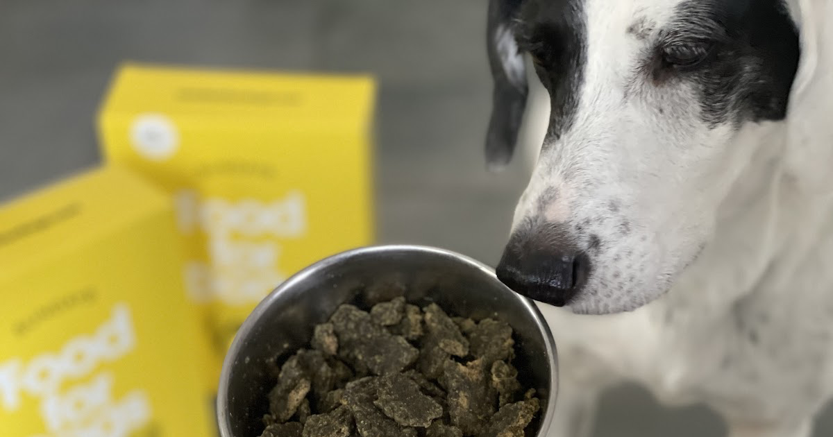 Sundays Food for Dogs is All Natural Air Dried Get 30 Off w