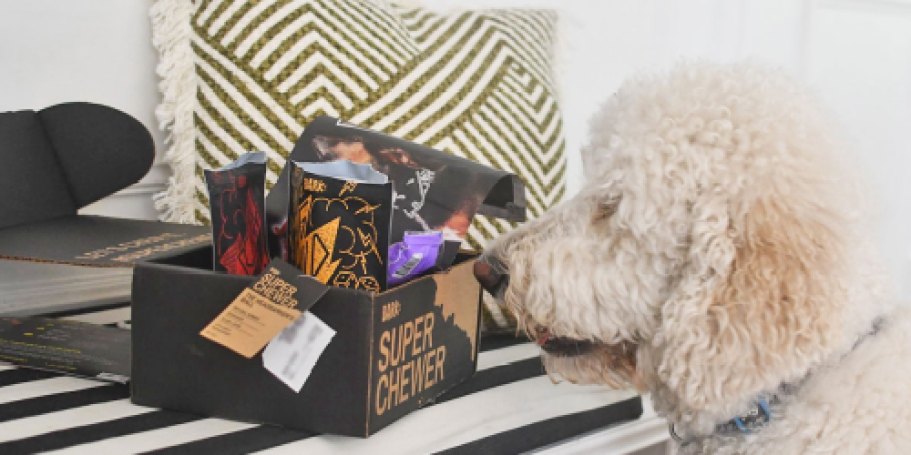 *HOT* Super Chewer Bark Box Only $17.60 Shipped (Includes Two Toys & Two Full-Size Treat Bags!)