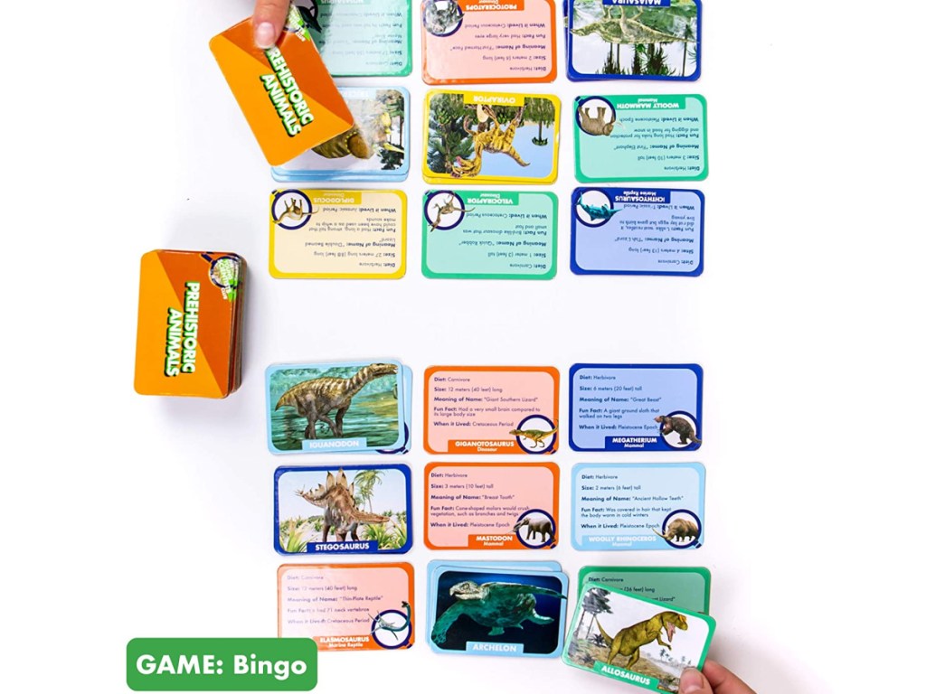 The Young Scientist Prehistoric Animal Card Games