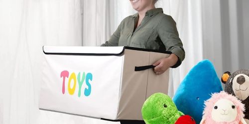 Collapsible Kids Toy Box Only $31.99 Shipped on Amazon (Regularly $70)