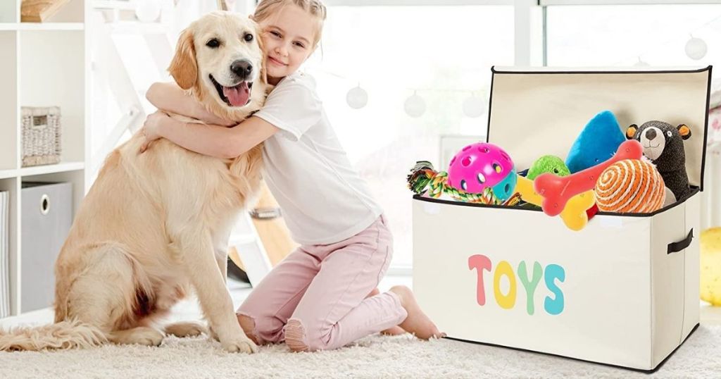 Storage box with TOYS on front and girl hugging dog beside it