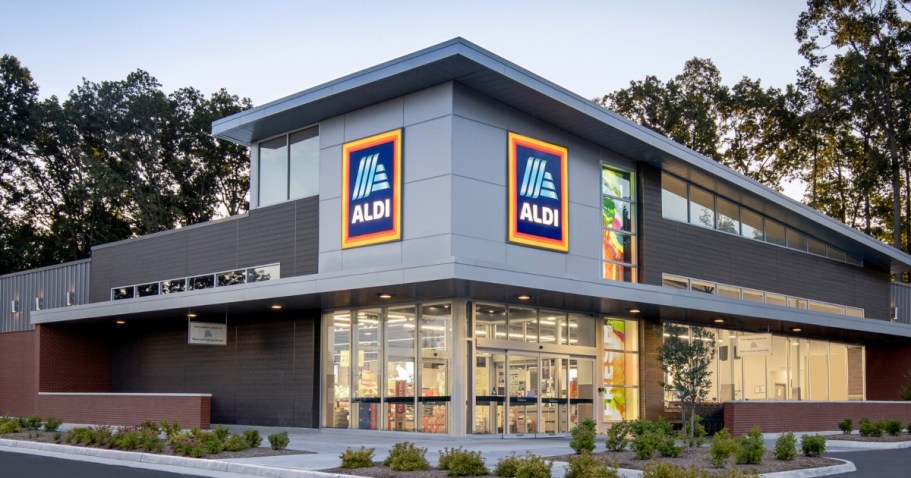 ALDI Dropping Prices Thru Labor Day | Stock Up On BBQ & Picnic Supplies + Healthy Food Options!