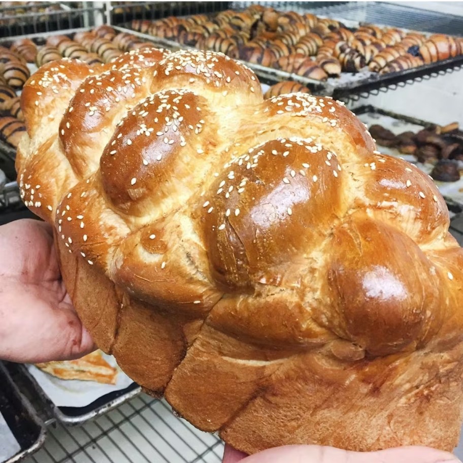 a persons hands holding a large challah