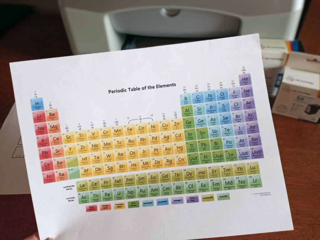 holding printable periodic table of the elements