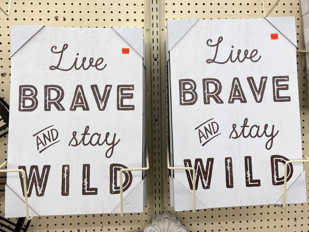 live brave and stay wild-2