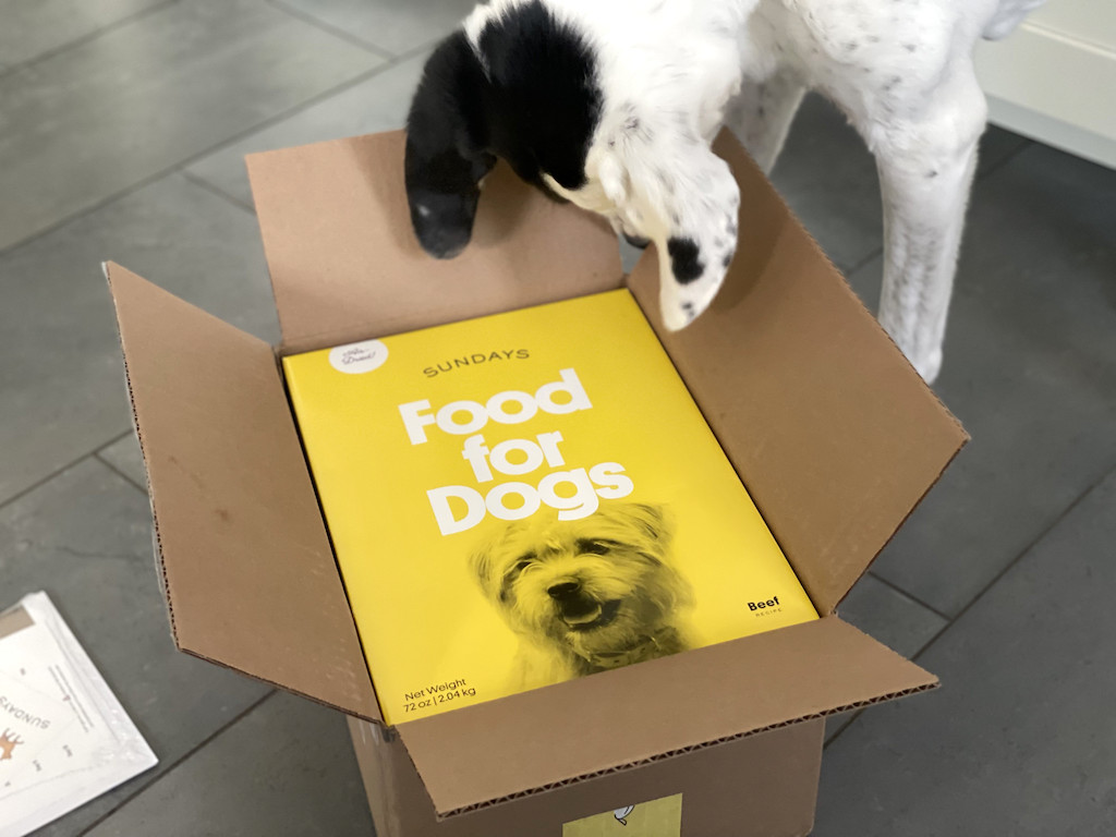 Sundays food for dogs in box with pup licking box 