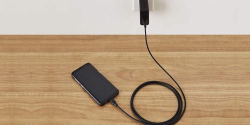Amazon Basics 60W Fast Charging USB-C to USB-C2.0 6-Foot Cable 2-Pack Only $5.99 (Regularly $13)